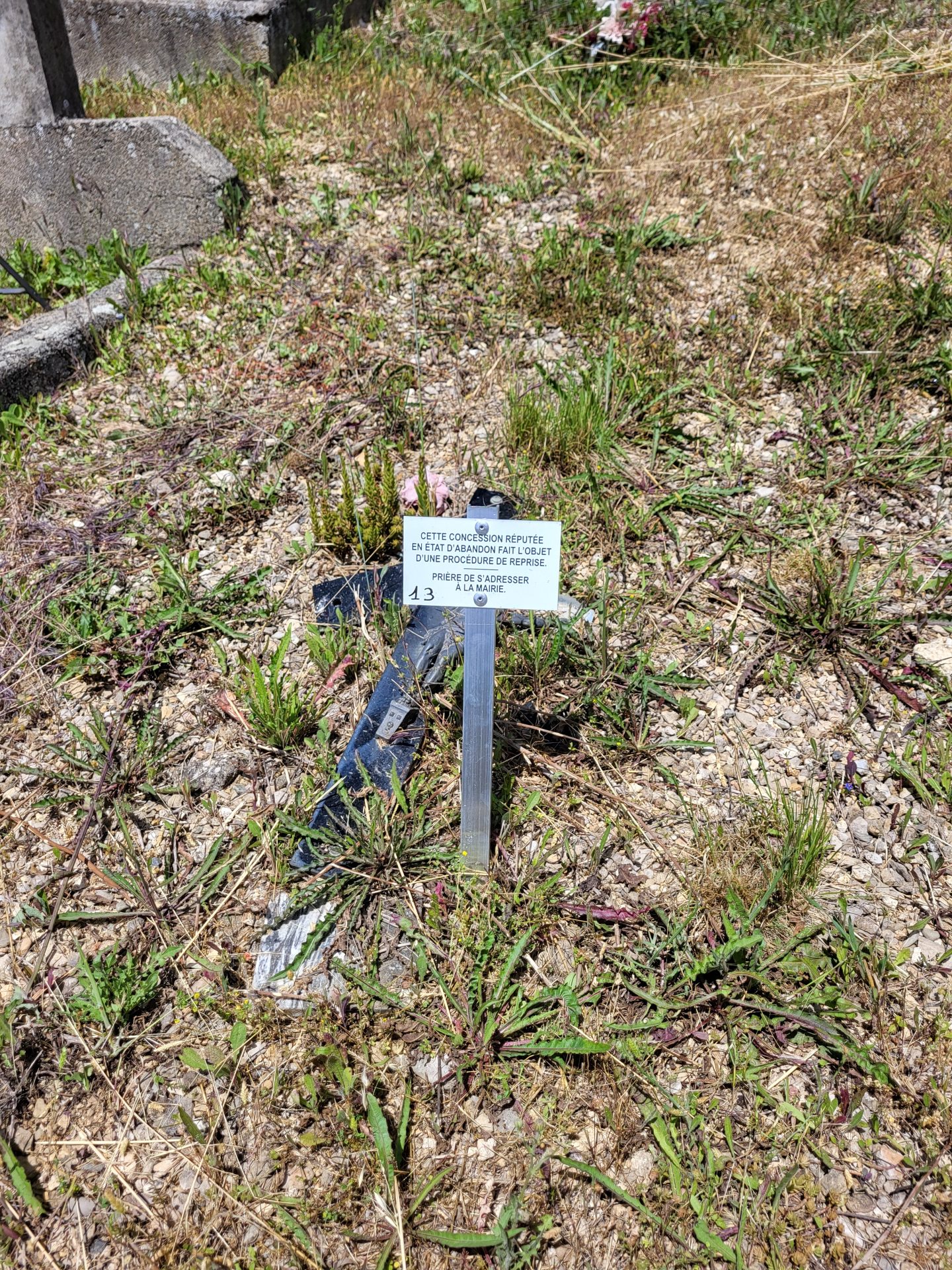 Lire la suite à propos de l’article Procédure de reprise de concessions au cimetière de Rivière